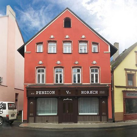 Penzion V Horách Kraslice Exterior foto