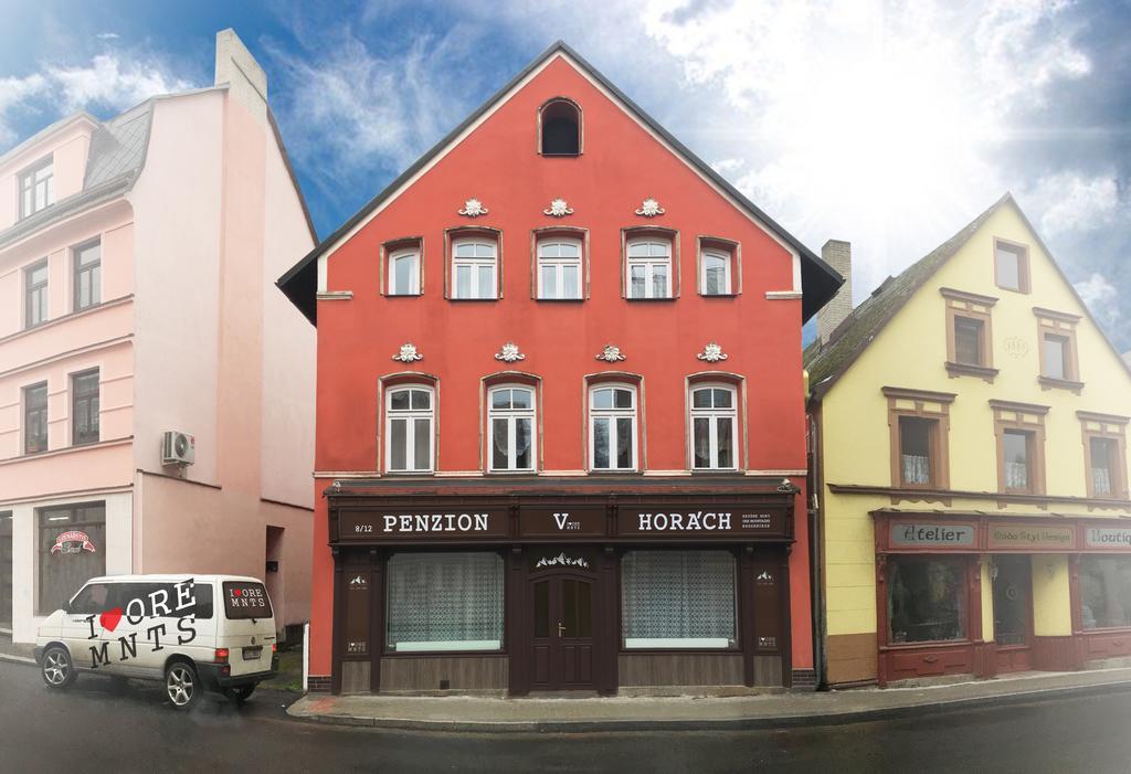 Penzion V Horách Kraslice Exterior foto